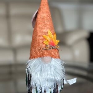 Thanksgiving Day Orange Gnome  🦃🥳💫